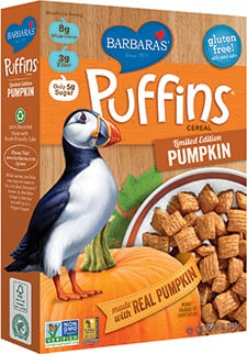 Barbara's Puffins Pumpkin
