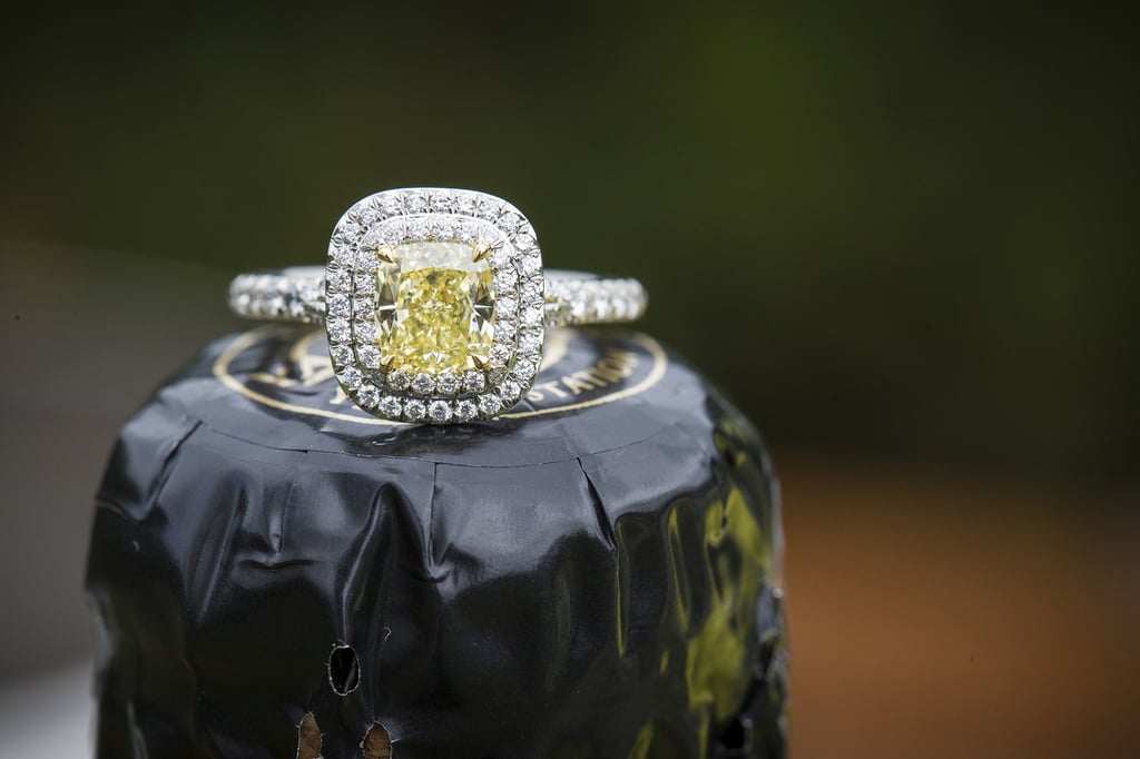 Surprise Engagement Photos