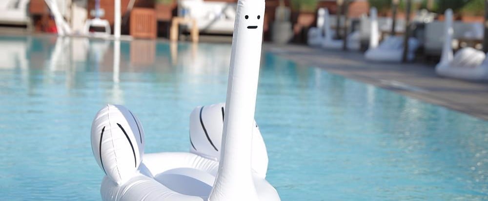 David Shrigley Swan Float