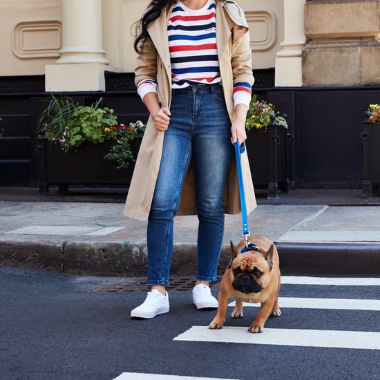Best Gifts For Dogs 2018