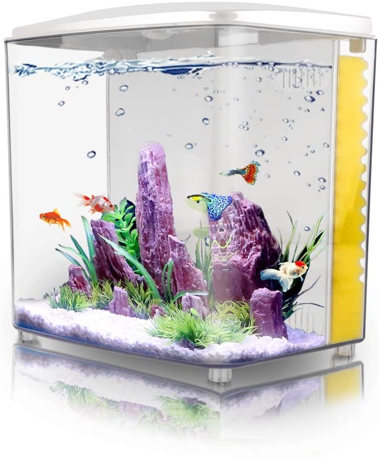 Freesea Betta Aquarium Fish Tank