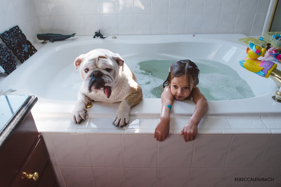 Bathtub Edition