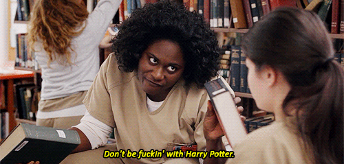 The Hardcore Harry Potter Fan