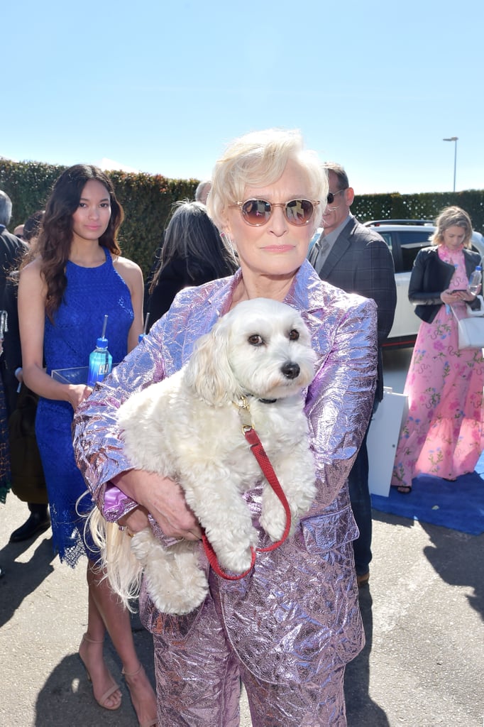 Glenn Close at the 2019 Spirit Awards