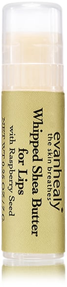 Best Lip Balm Formulated With Shea Butter