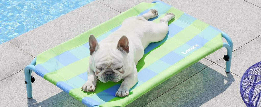 Best Elevated Cooling Pet Beds on Amazon