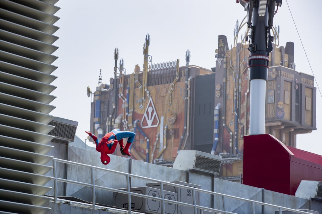 Flying Animatronic Spider-Man at Avengers Campus | Videos