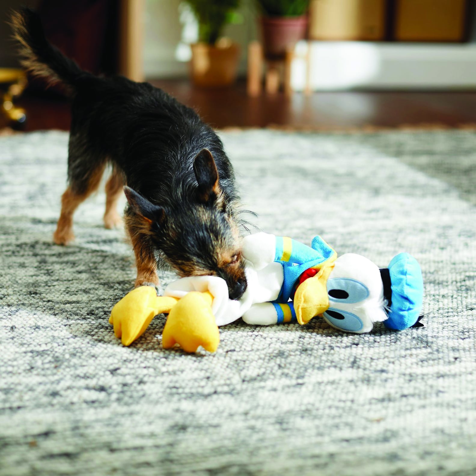 You Can Find the Best Disney Dog Toys at Chewy POPSUGAR Pets
