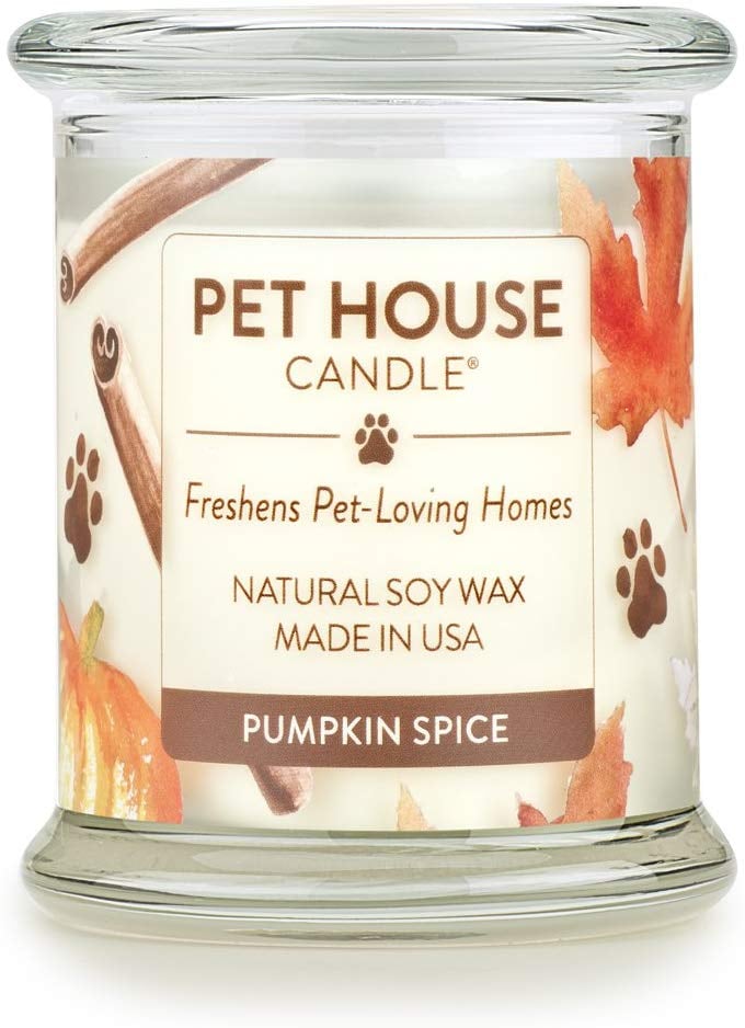 One Fur All Pumpkin Spice Natural Soy Wax Candle