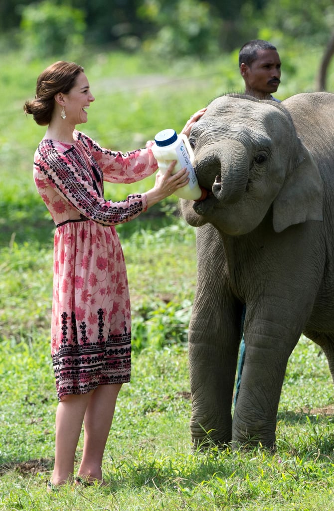Kate Middleton Wearing a Topshop Dress in India 2016