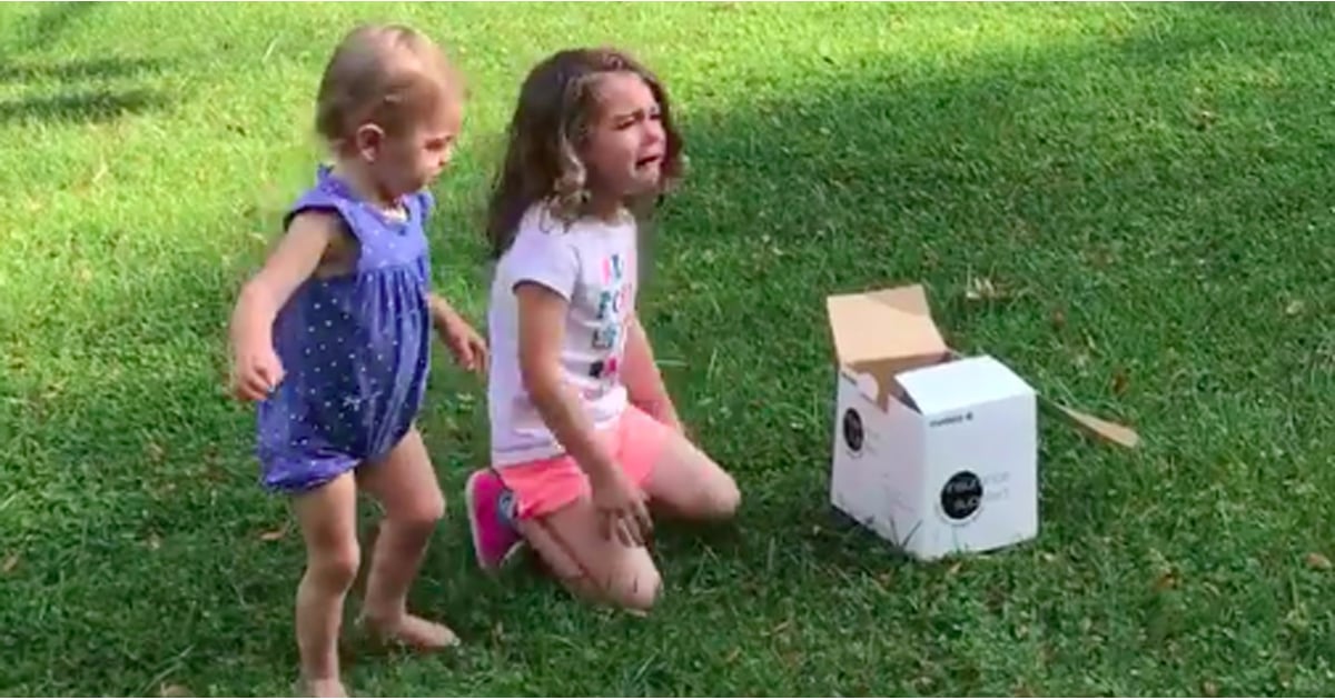 Toddler Throws a Tantrum Over Sibling's Gender Reveal POPSUGAR Family