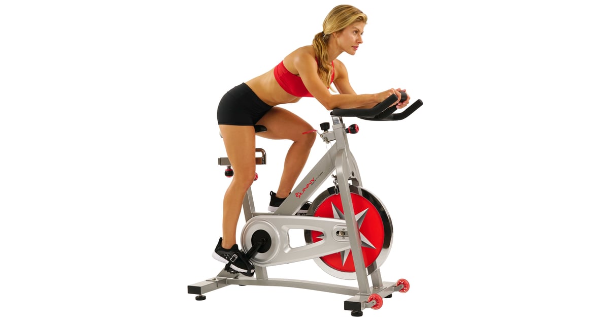 sunny health and fitness indoor bike