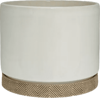allen + roth 10-Inch Cylinder with Saucer