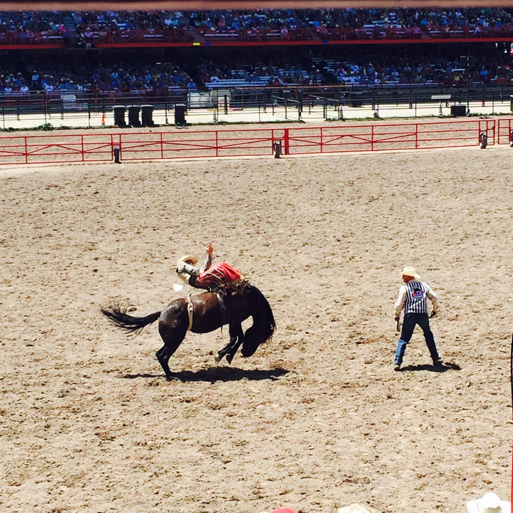 Bareback Bronc Riding