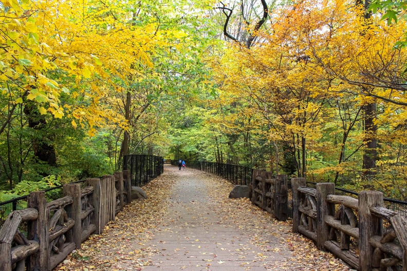 Escape the crowds of Manhattan to find even more serenity in Prospect Park