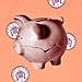 Is Gen Z Behind on Retirement Savings? Experts Weigh In