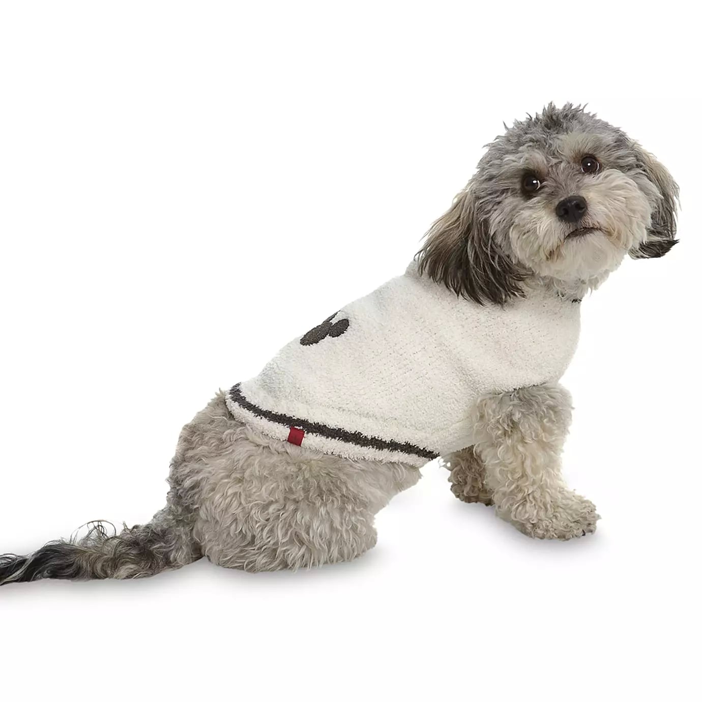 disney dog hoodie