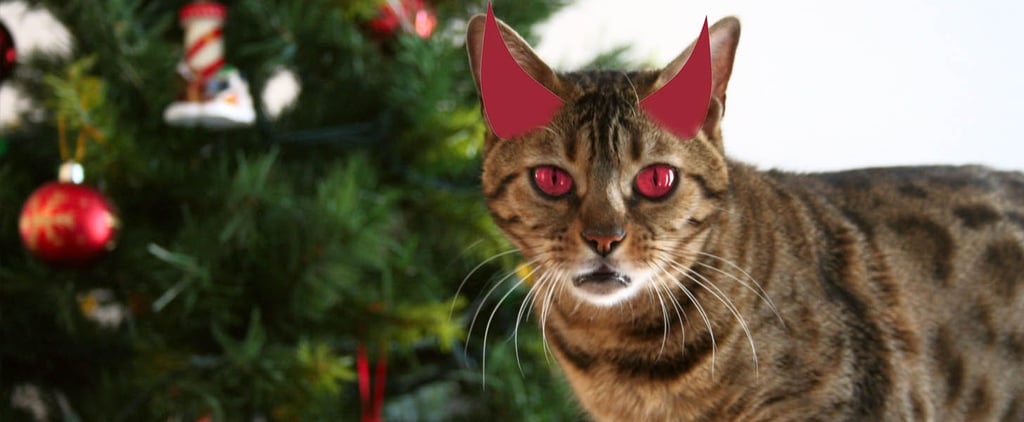 Cats Attack Christmas Trees