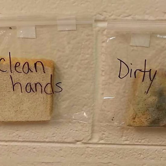 Teacher's Sandwich Experiment on Germs
