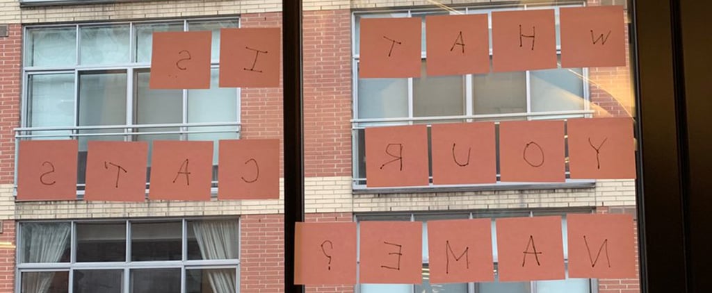 Woman Finds Out the Name of the Cat Across the Street