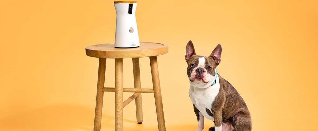Best Selling Pet Products on Amazon