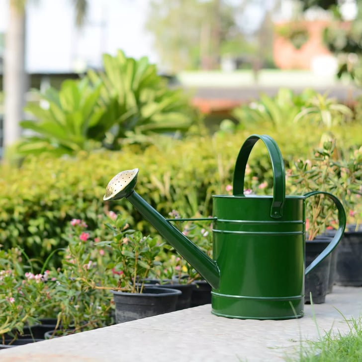 Smith & Hawken Watering Metal Can How To Take Care Of Indoor Plants