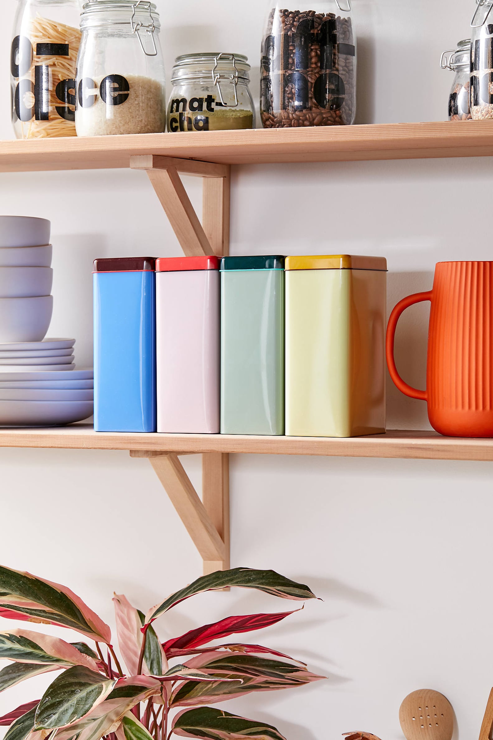 Best Kitchen Cleaners and Organizers For Spring Cleaning POPSUGAR Home