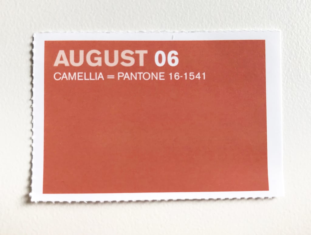 Aug. 6 - Camellia