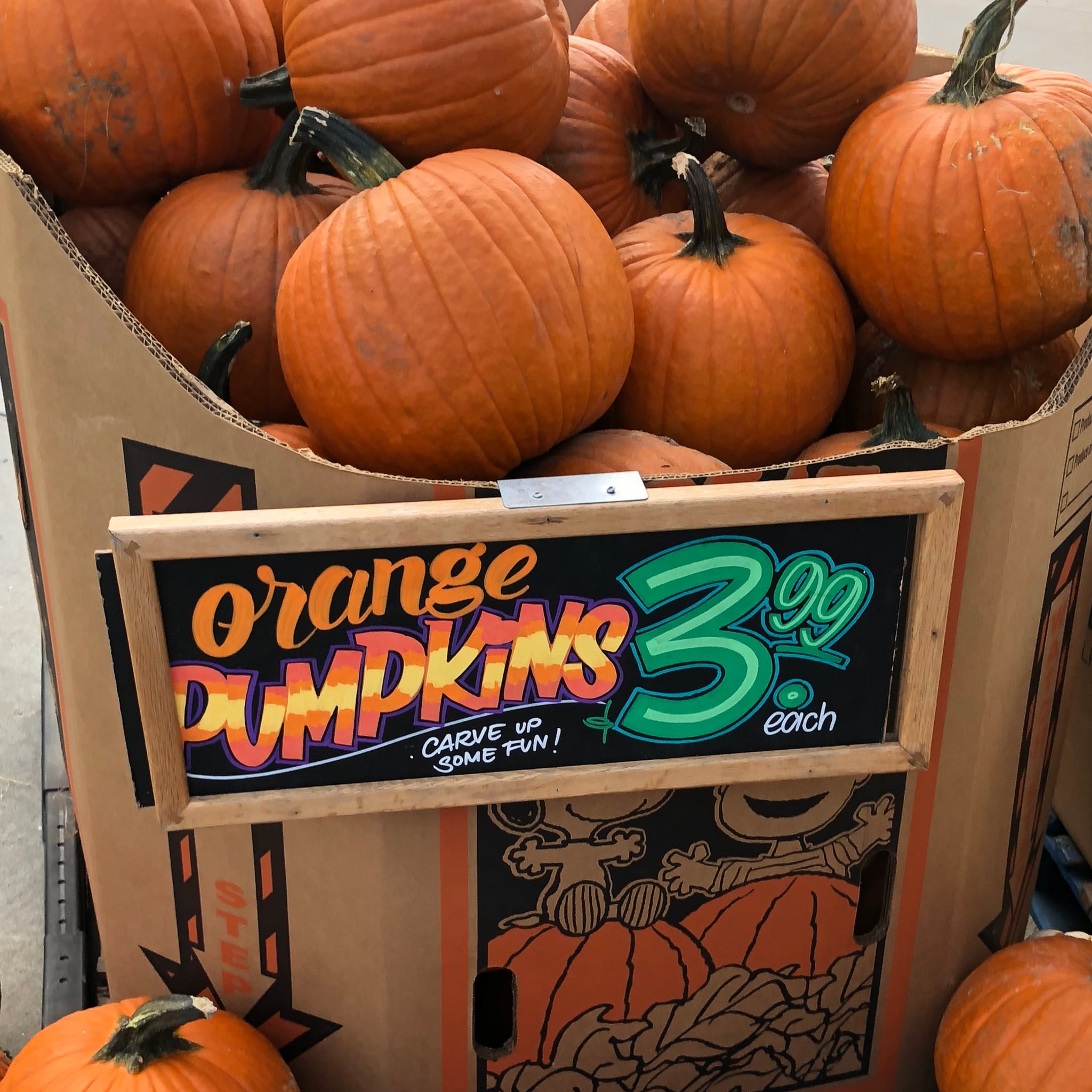 Trader Joe S Healthy Pumpkin Products Popsugar Fitness