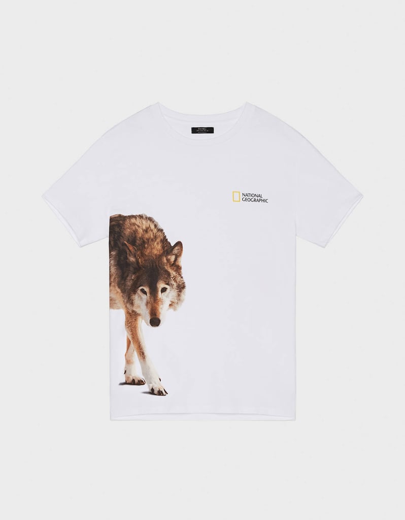 Bershka x National Geographic Wolf T-Shirt