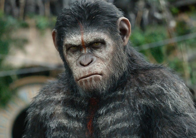 Dawn of the Planet of the Apes Pictures