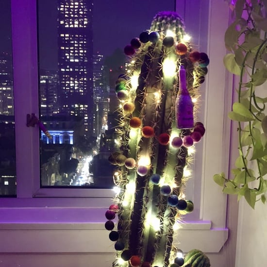How to Decorate a Cactus For Christmas