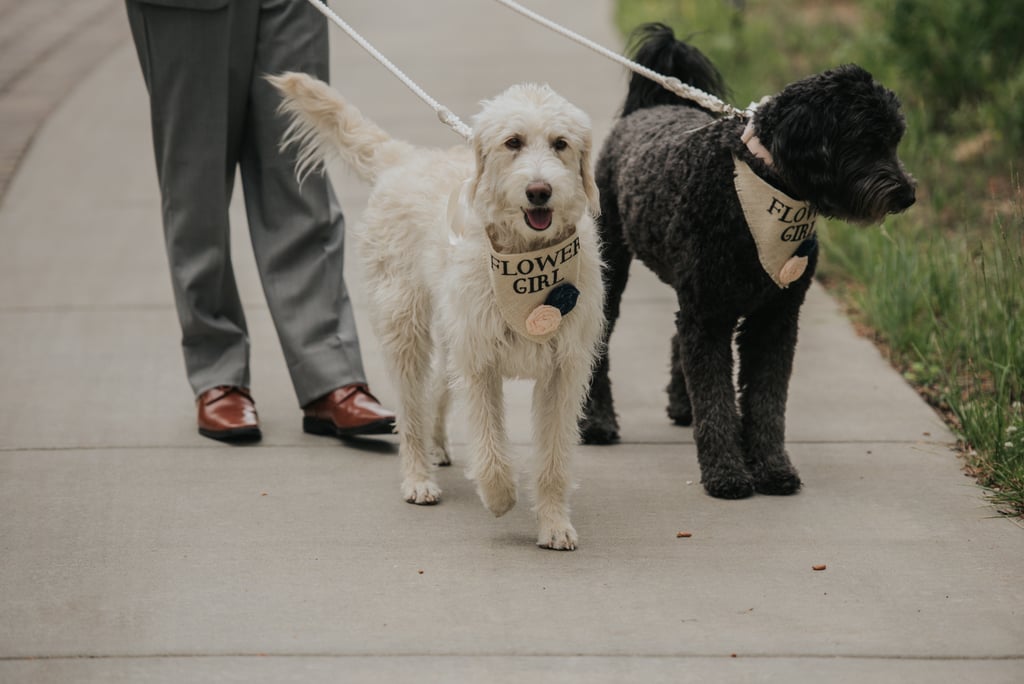 Dogs in Weddings