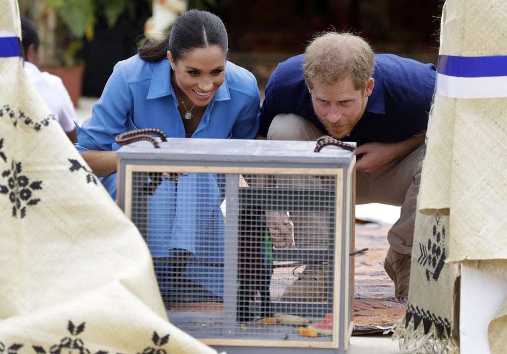 Prince Harry and Meghan Markle Australia Tour Pictures 2018