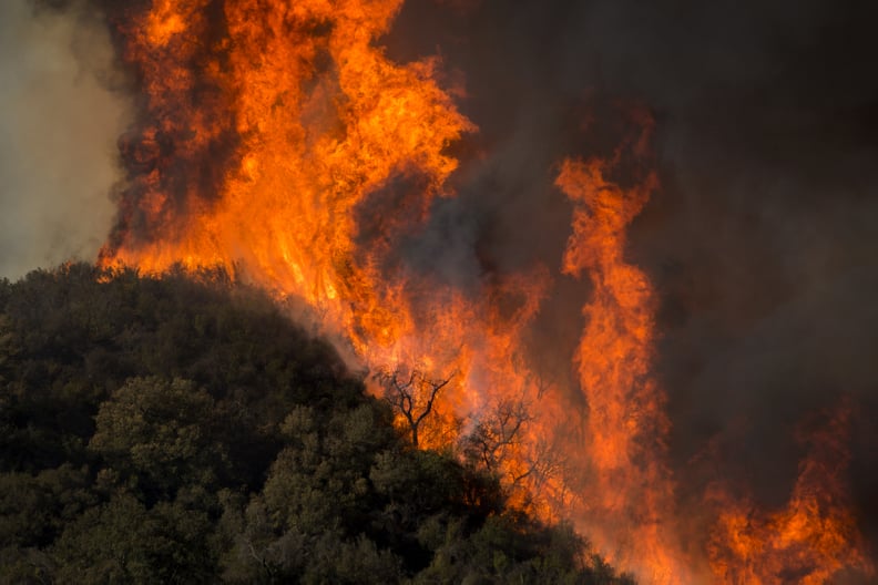 Horrifying flames sweep across Malibu Creek State Park during Woolsey Fire.