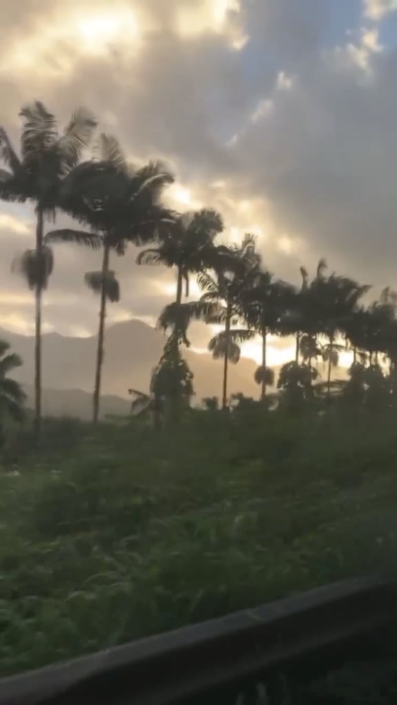 Billie Eilish on Holiday in Hawaii | January 2020