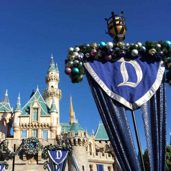 Disney World and Universal Studios Install Metal Detectors
