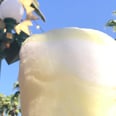 You Won't Find This Disneyland Pineapple Treat at the Tiki Room