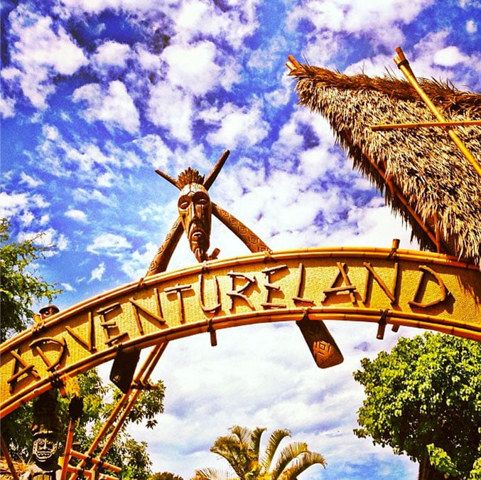 Visiting the Disney parks has become synonymous with the perfect Instagram.