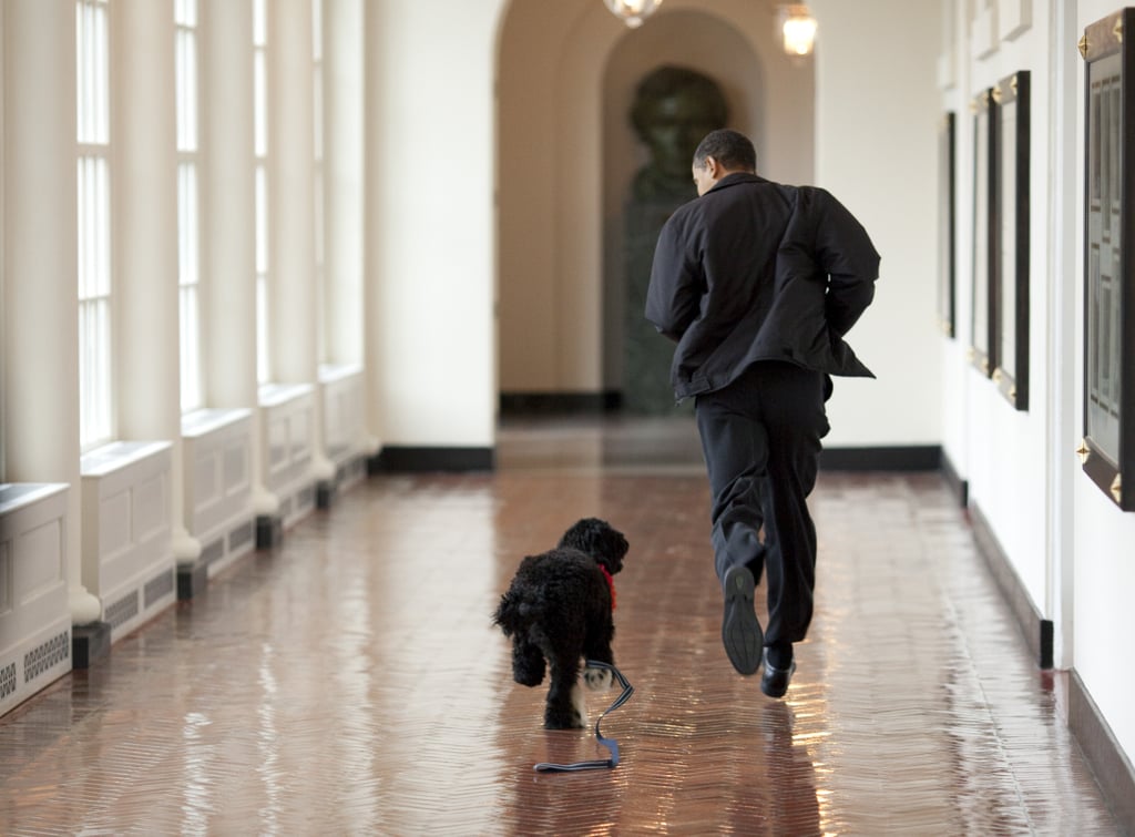White House photographer Pete Souza snapped this iconic image of Barack running down the hall with Bo in 2009.