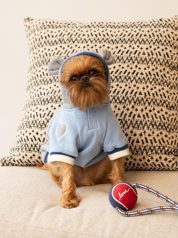 Ellen discount dog clothes
