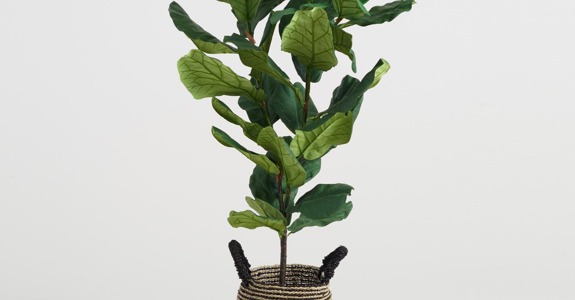 The Best Faux Fiddle Leaf Fig Tree | PS Home