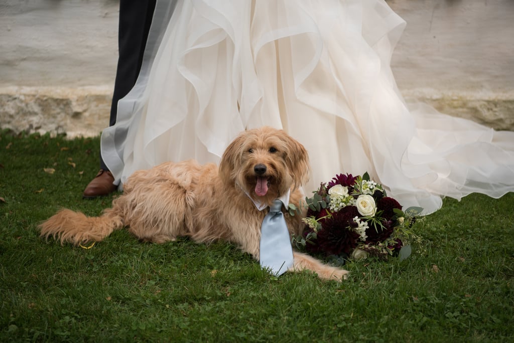 Dogs in Weddings