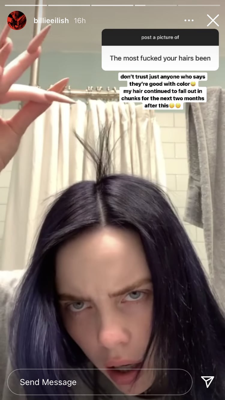 Billie Eilish's Instagram Story on Dec. 29