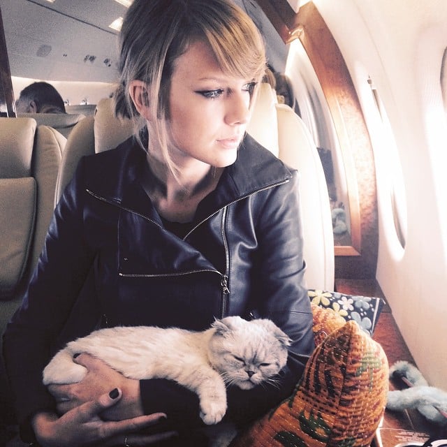 Taylor Swift held her cat during a flight.