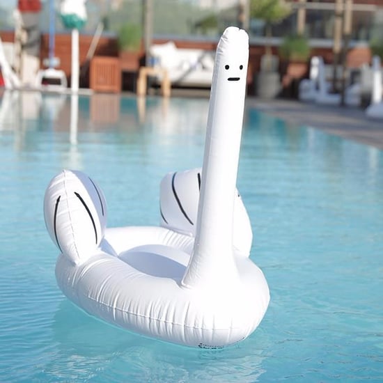 David Shrigley Swan Float
