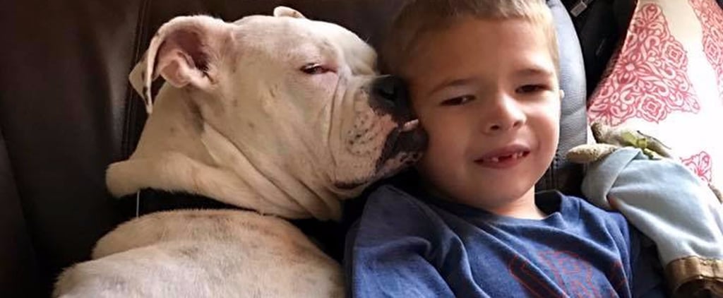 Facebook Post About Nonverbal Boy and His Deaf Dog