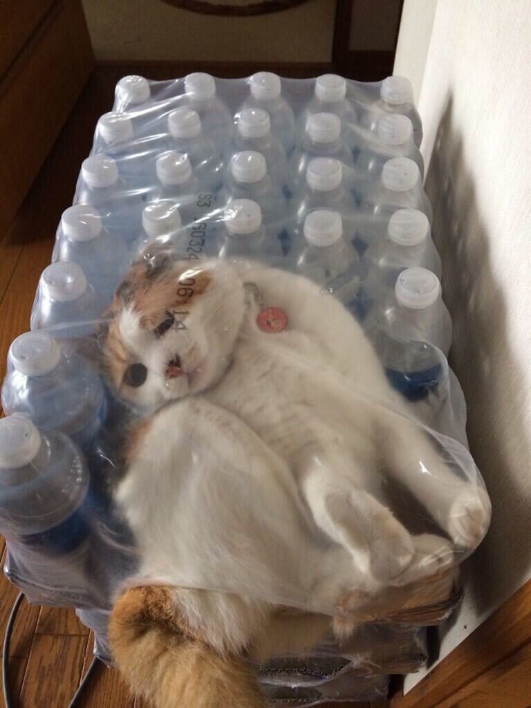 "I f*cked up."
Source: Reddit user kenziegracee via Imgur