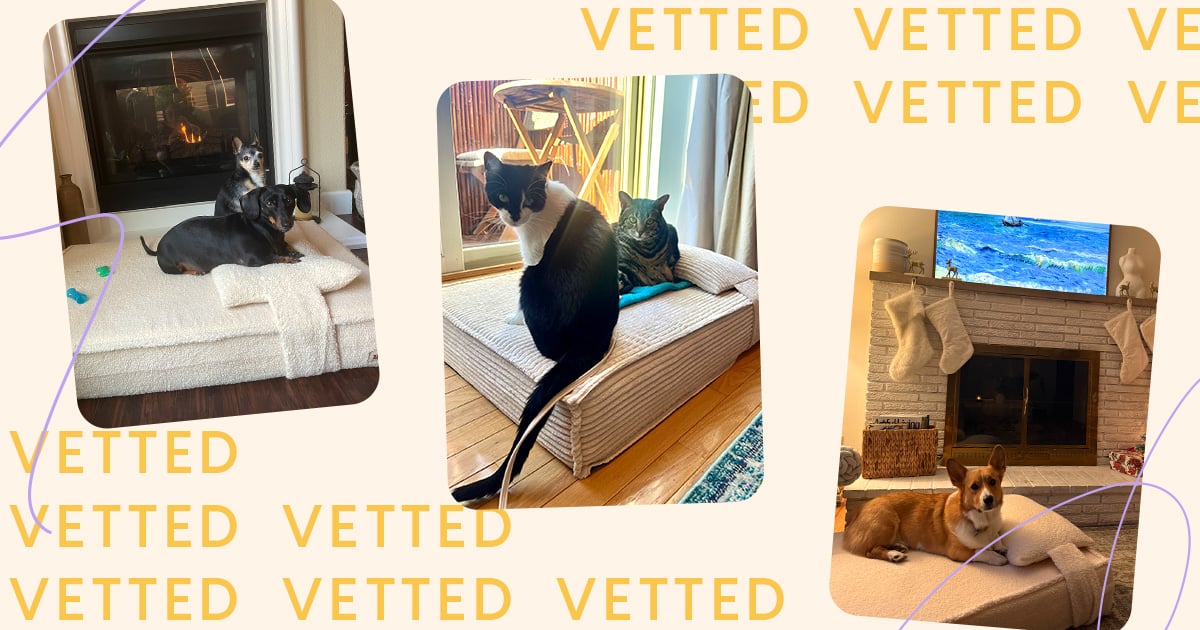 Buffy Orthopedic Pet Bed Review