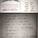 7-Year-Old Hates Homework Expertly Trolls